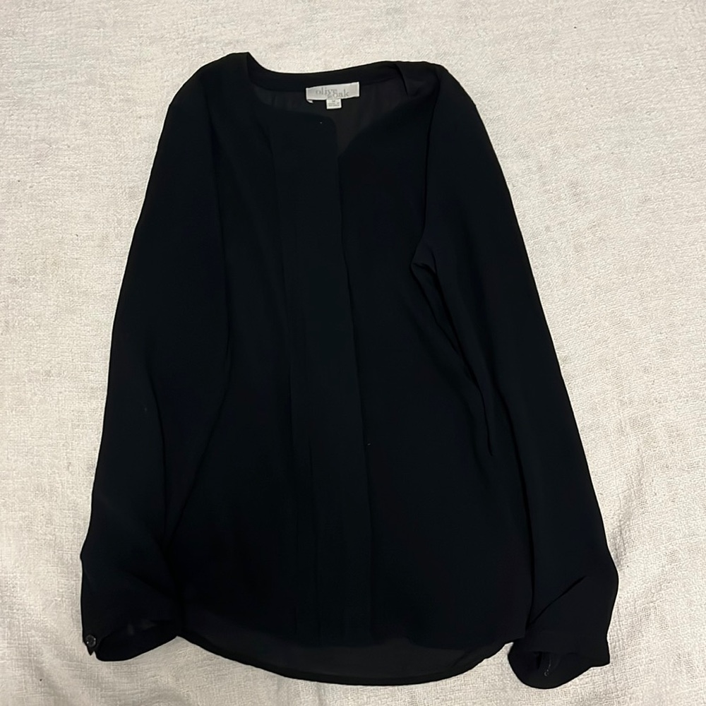 Olive and Oak Sheer blouse